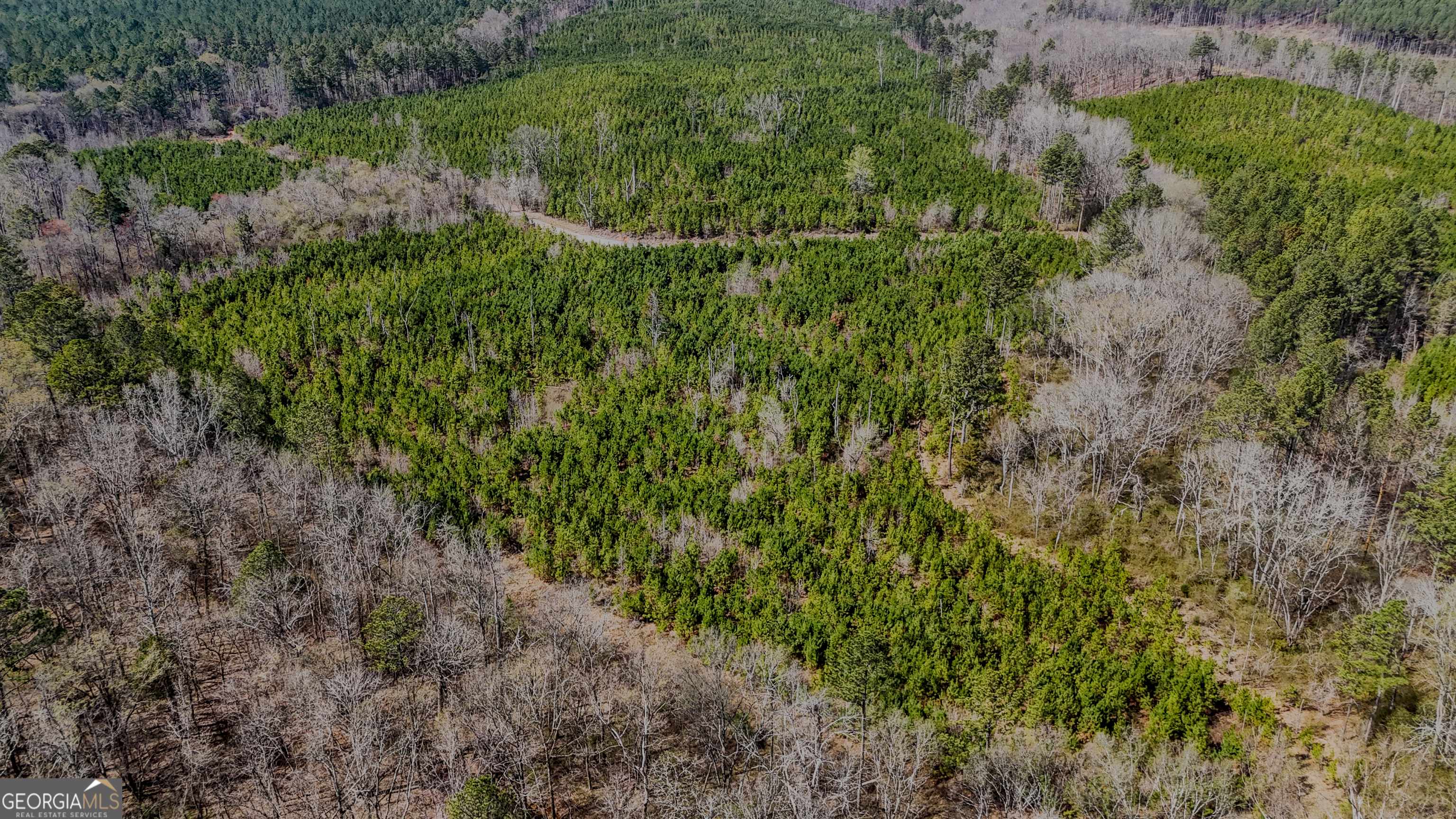 Rome, GA 30165,0 Halls Valley RD