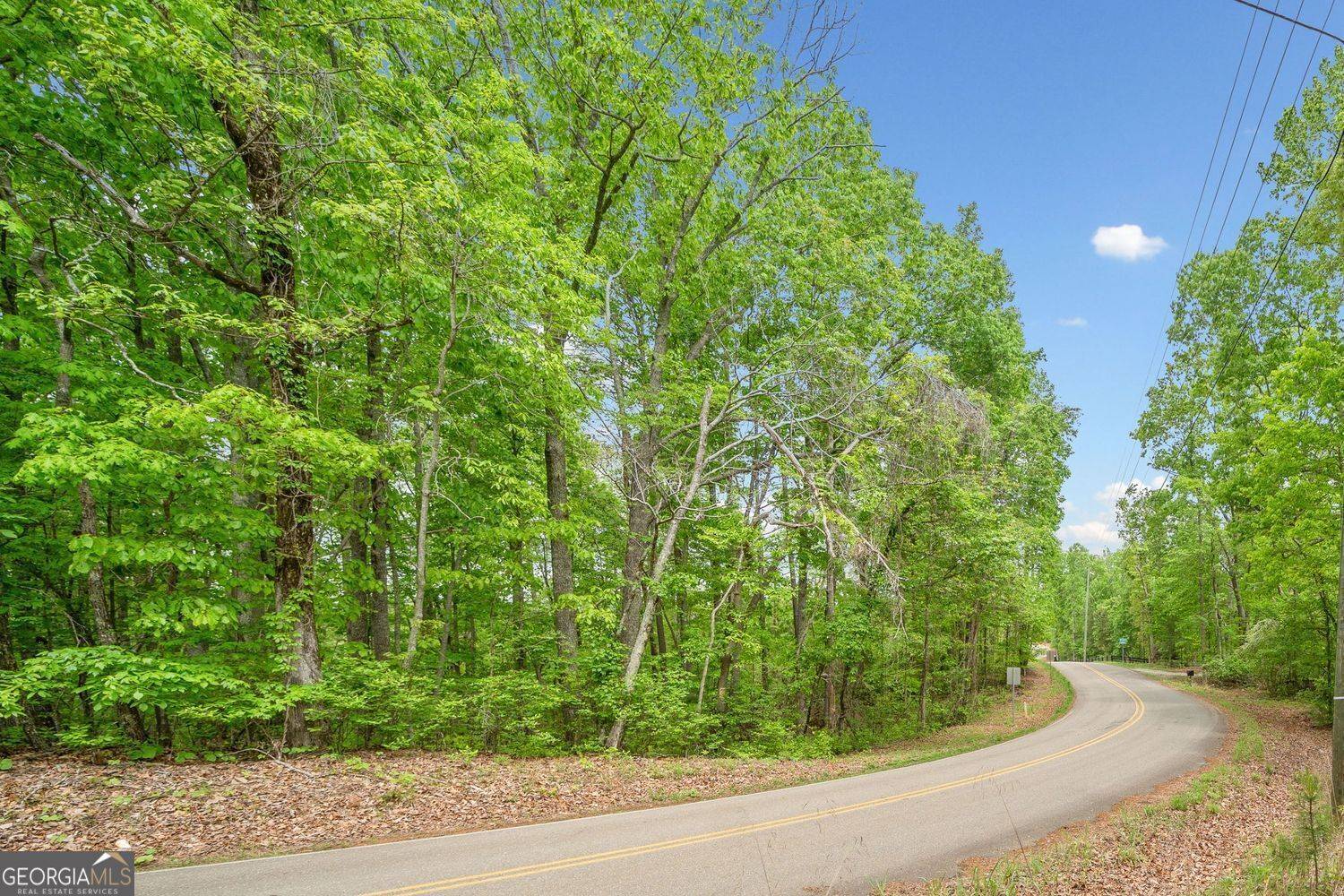 Canton, GA 30114,2022 Pleasant Union RD