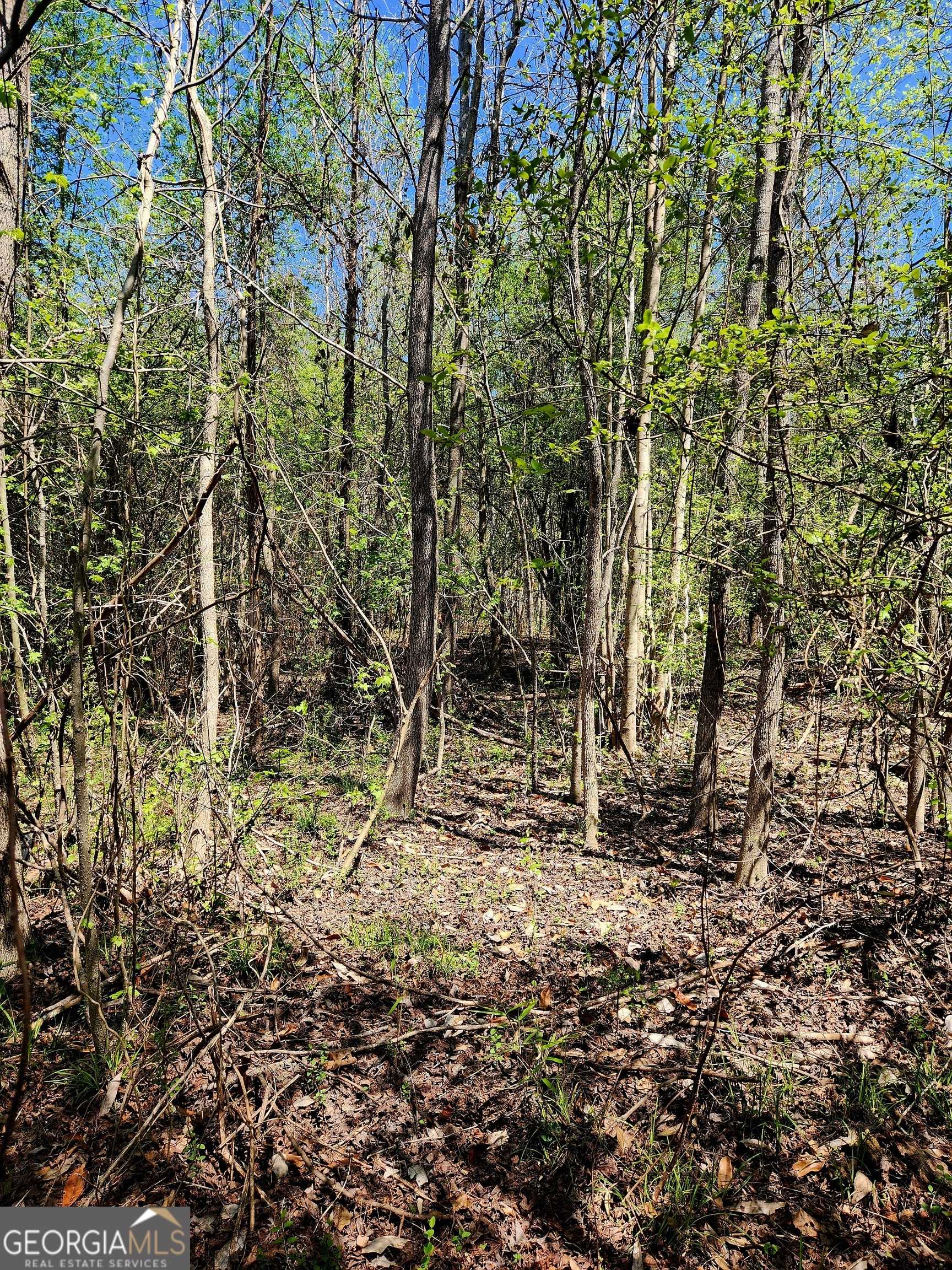 Newnan, GA 30263,0 Mount Carmel RD