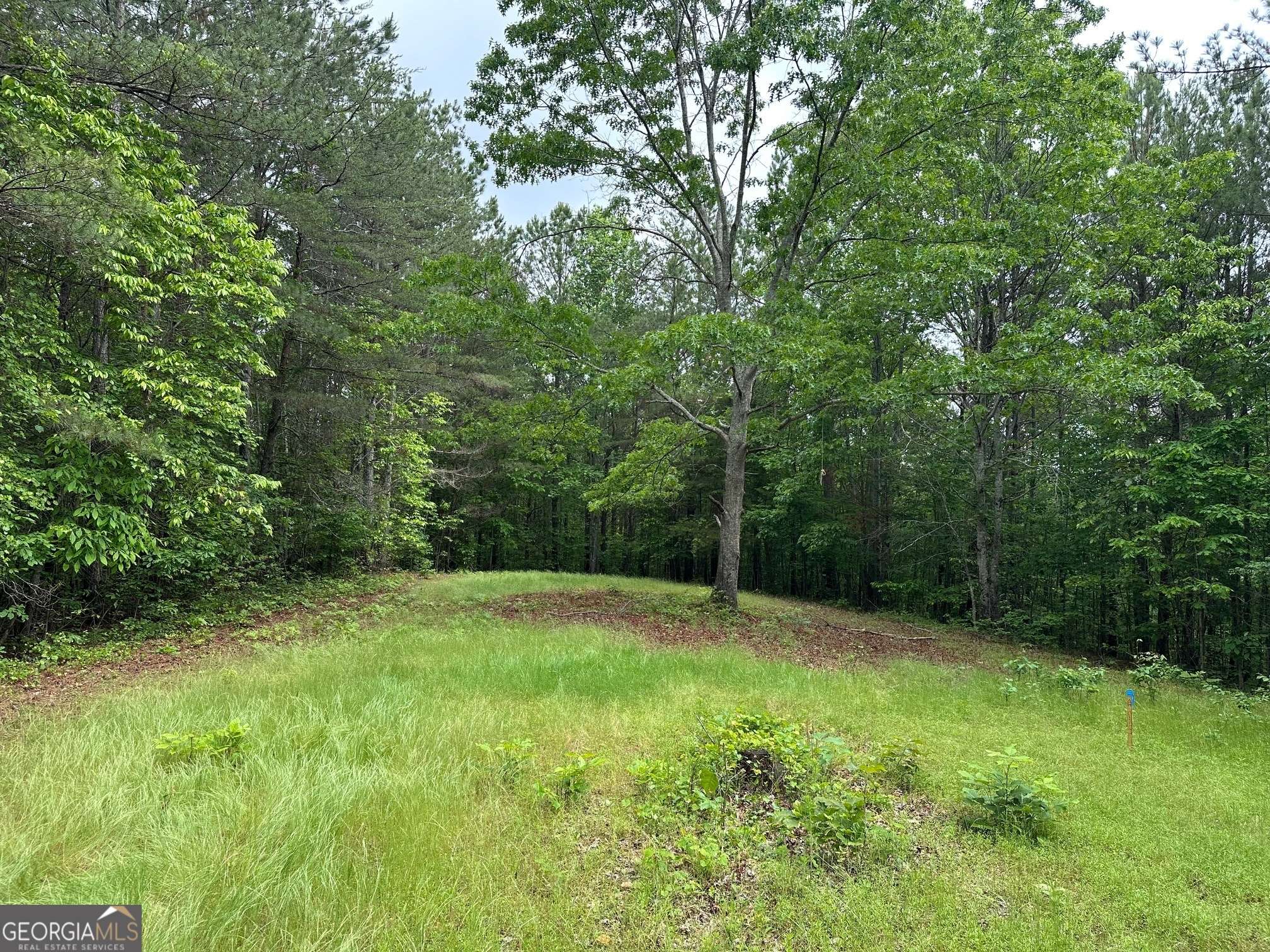 Dahlonega, GA 30533,6.5-/+ Larmon Forks