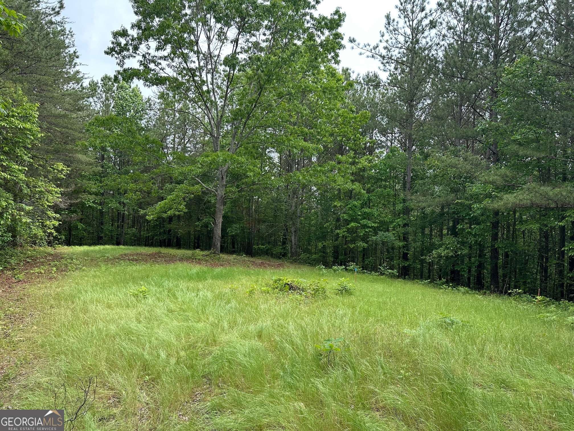 Dahlonega, GA 30533,6.5-/+ Larmon Forks