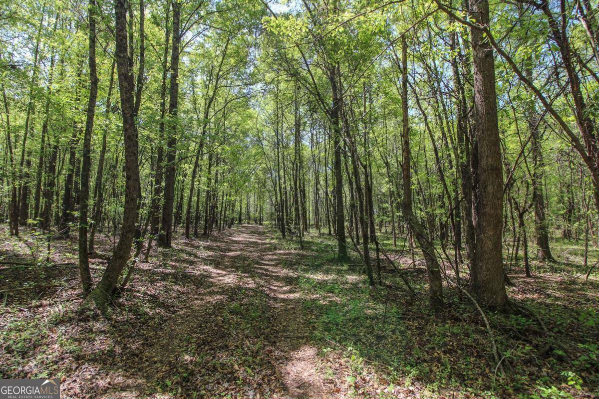 Winterville, GA 30683,176 G W Bray RD