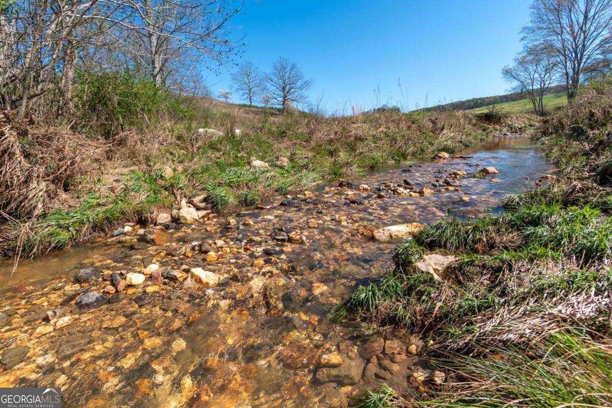 Morganton, GA 30560,13.75AC Tipton Springs RD