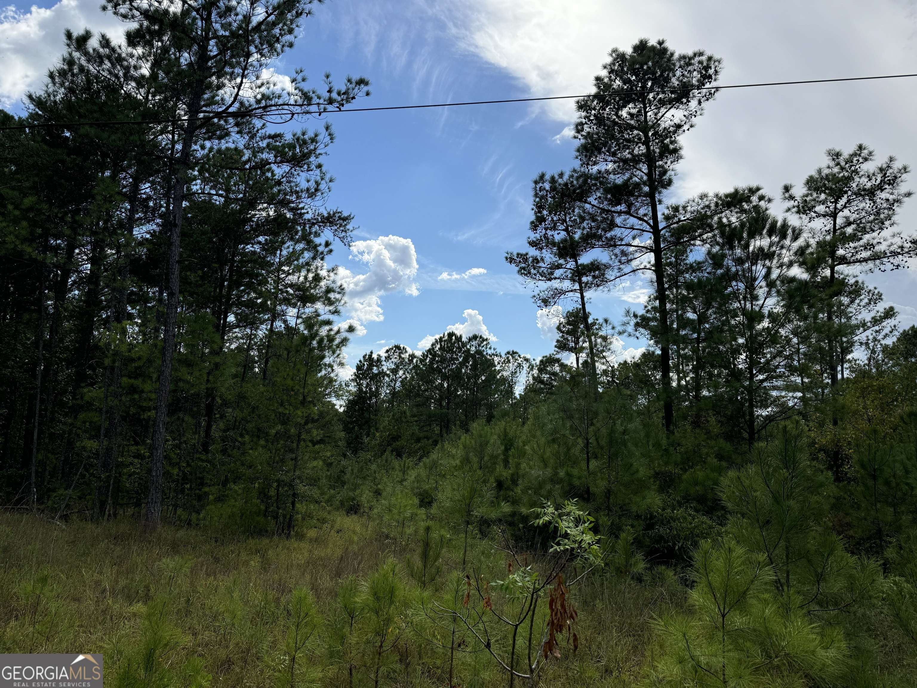 Bankston, AL 35542,08 Adams RD