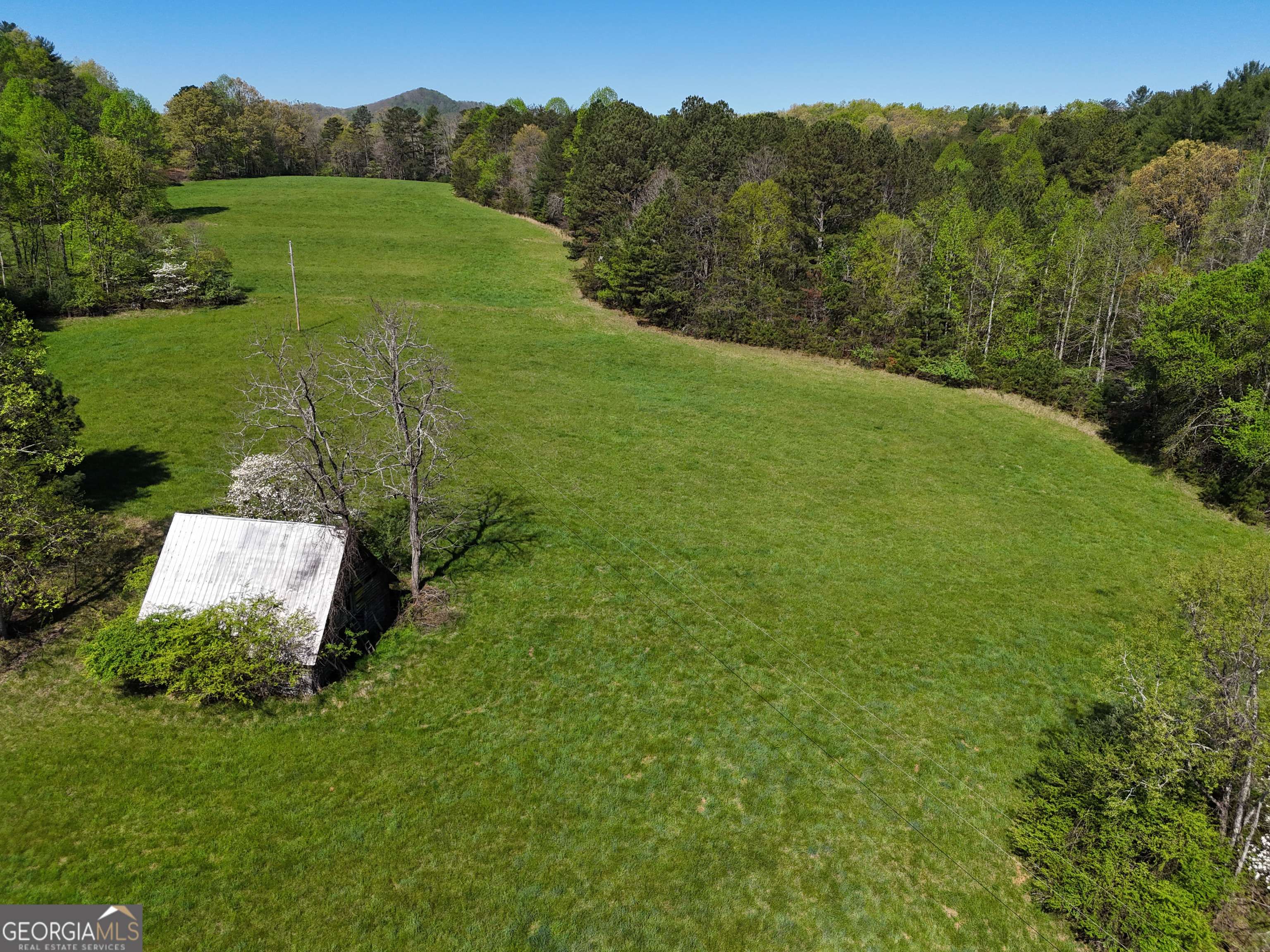 Blairsville, GA 30512,1489 Boy Scout RD