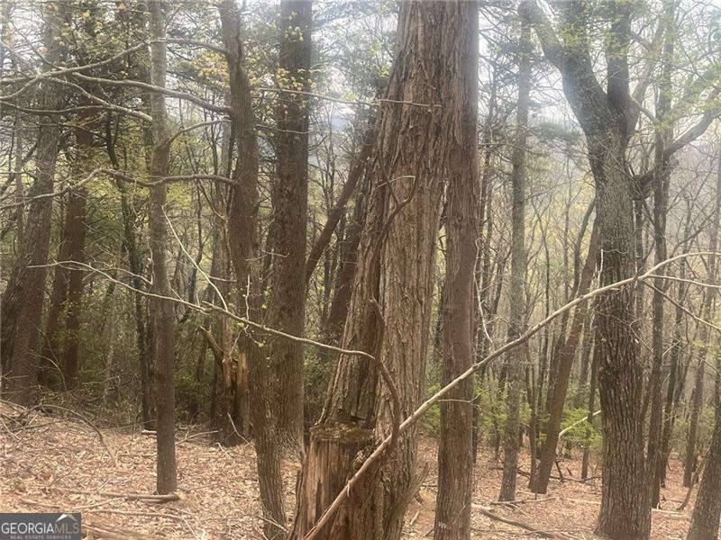Jasper, GA 30143,0 Bee Tree Ridge