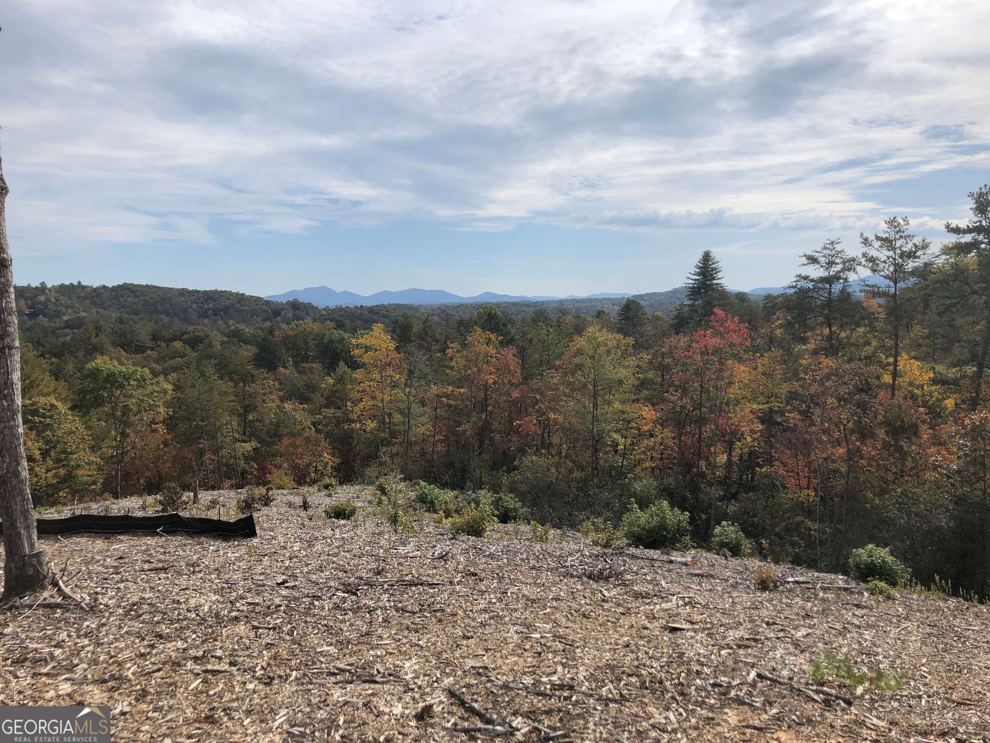 Mineral Bluff, GA 30559,0 Mountain Laurel Ridge