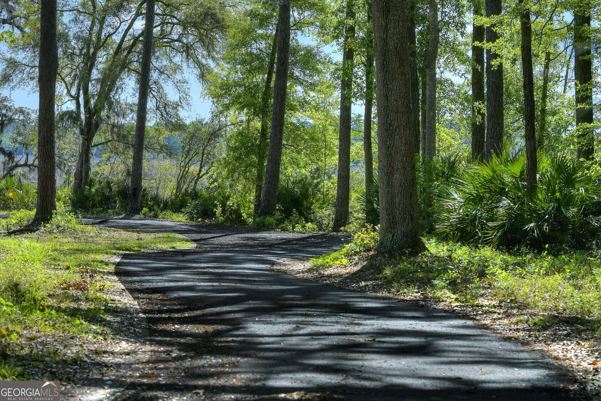 Woodbine, GA 31569,493 Harbor View DR