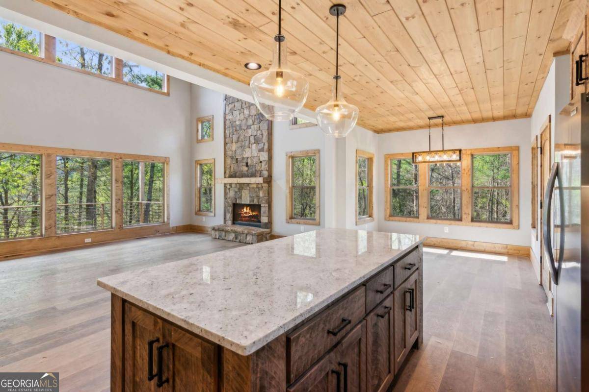 Ellijay, GA 30536,78 Pocola CT