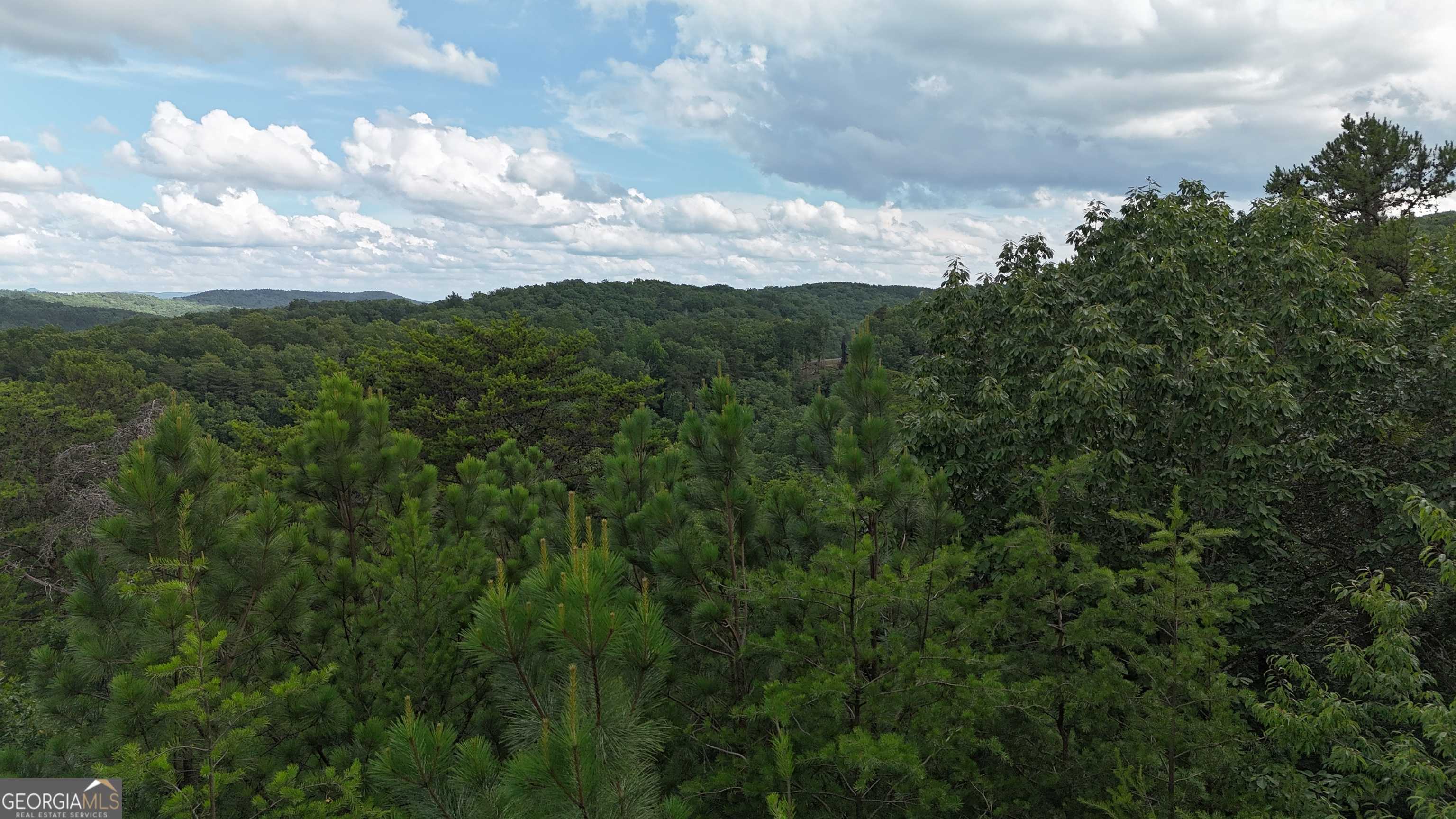 Ranger, GA 30734,1057 Mayfield LN NE