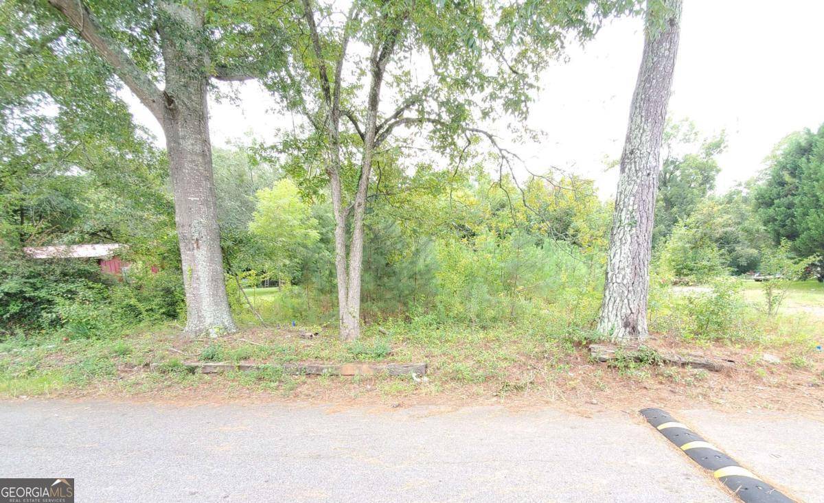 Haddock, GA 31033,168 Peach ST