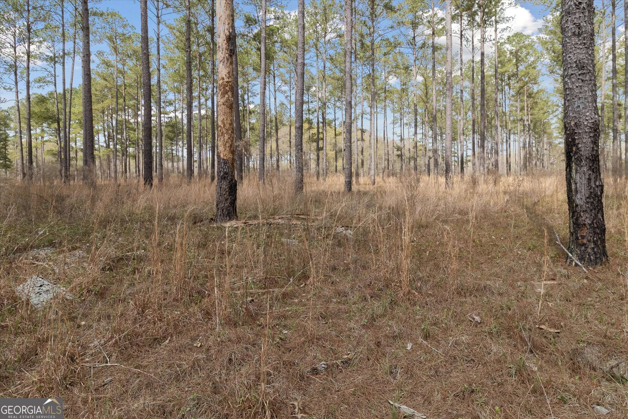 Claxton, GA 30417,14 Pine Ridge DR