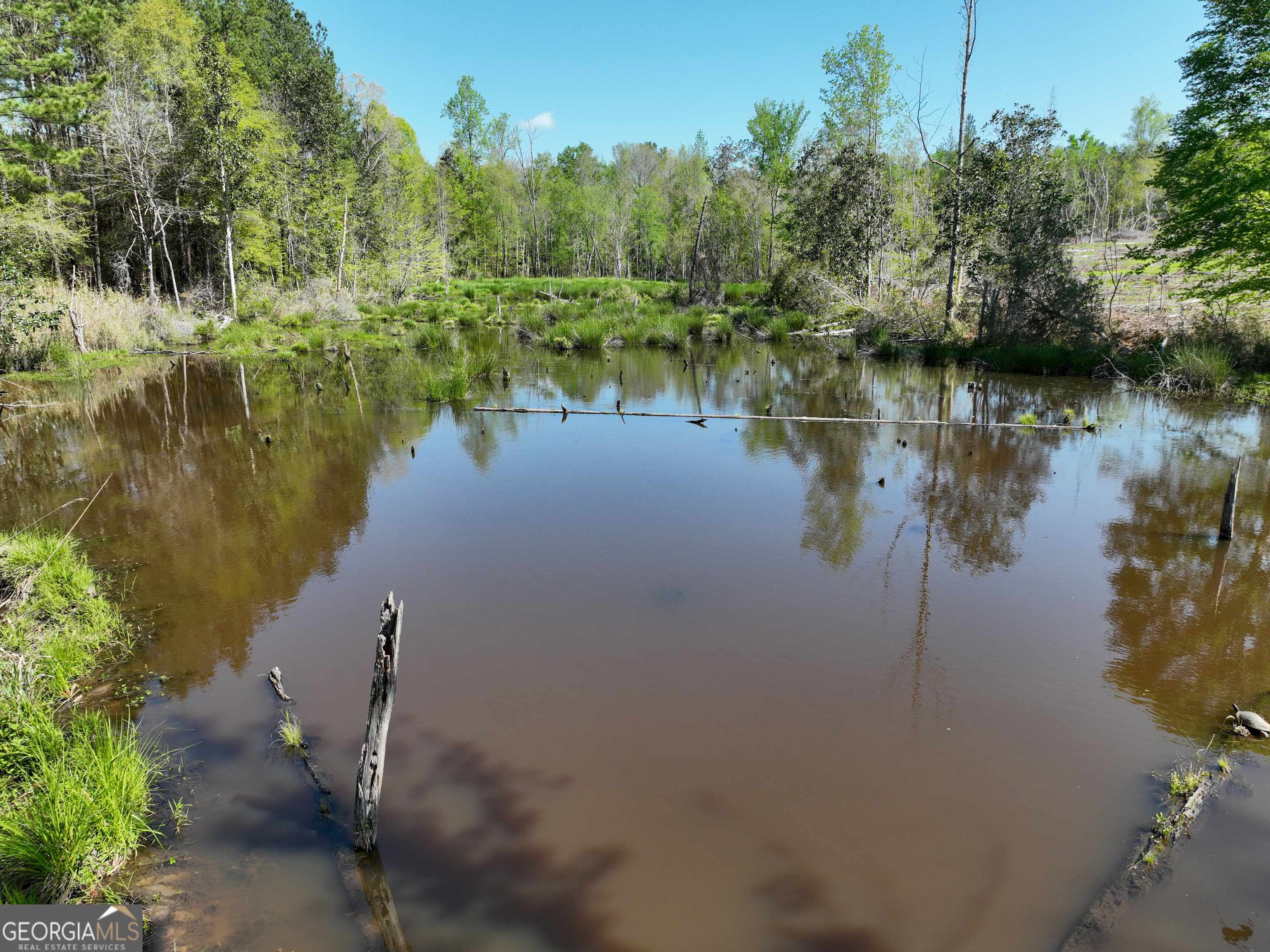 Toomsboro, GA 31090,0 Long Branch RD