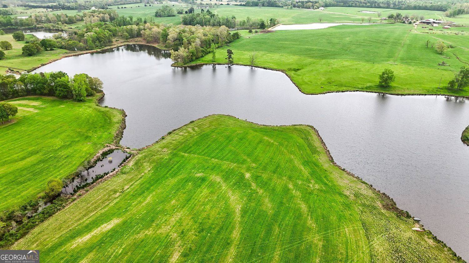 Barnesville, GA 30204,377 +/- ACRES Brent RD