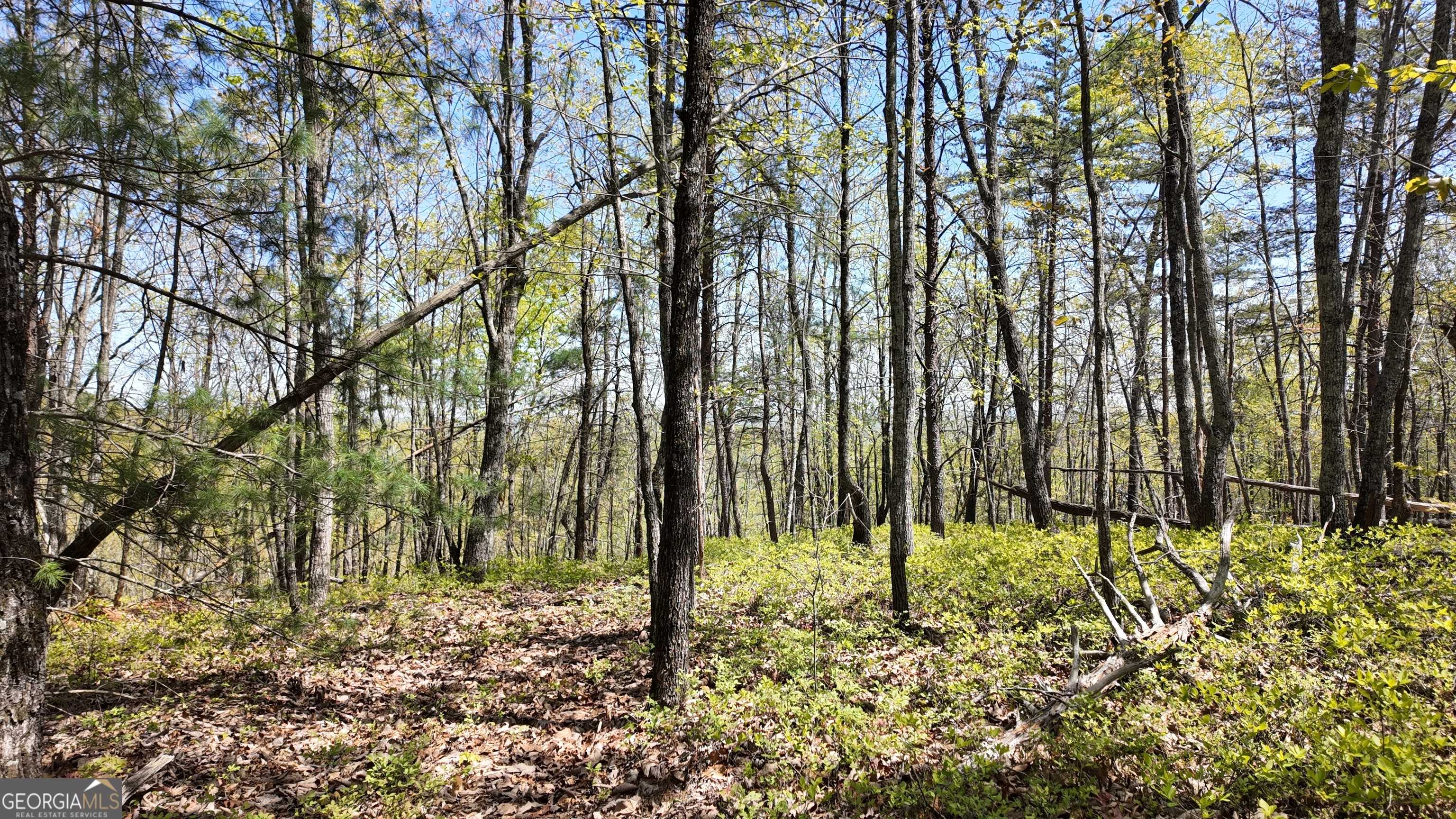 Clarkesville, GA 30523,LOT 19 Heyden Ridge DR