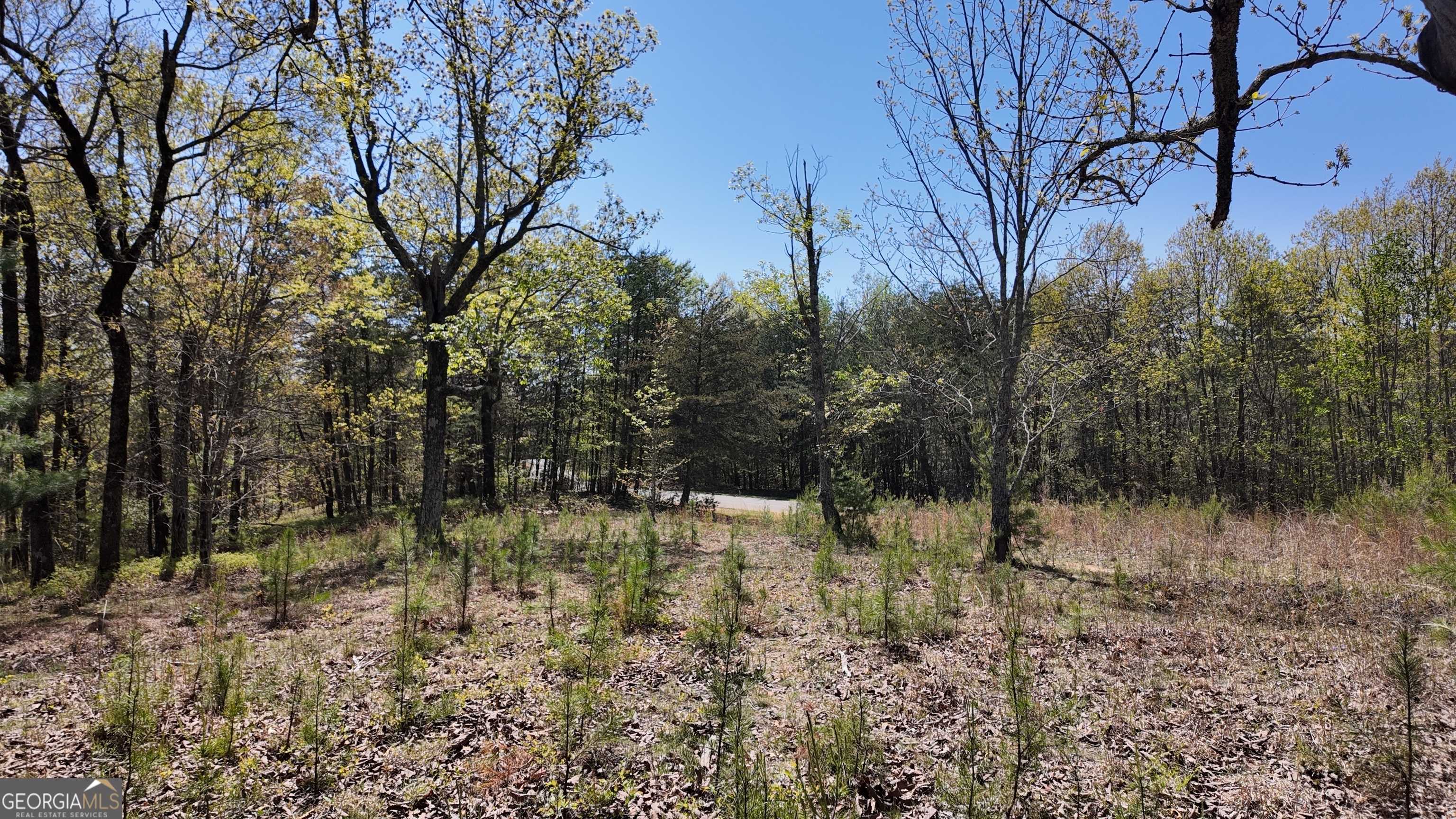 Clarkesville, GA 30523,LOT 20 Heyden Ridge DR