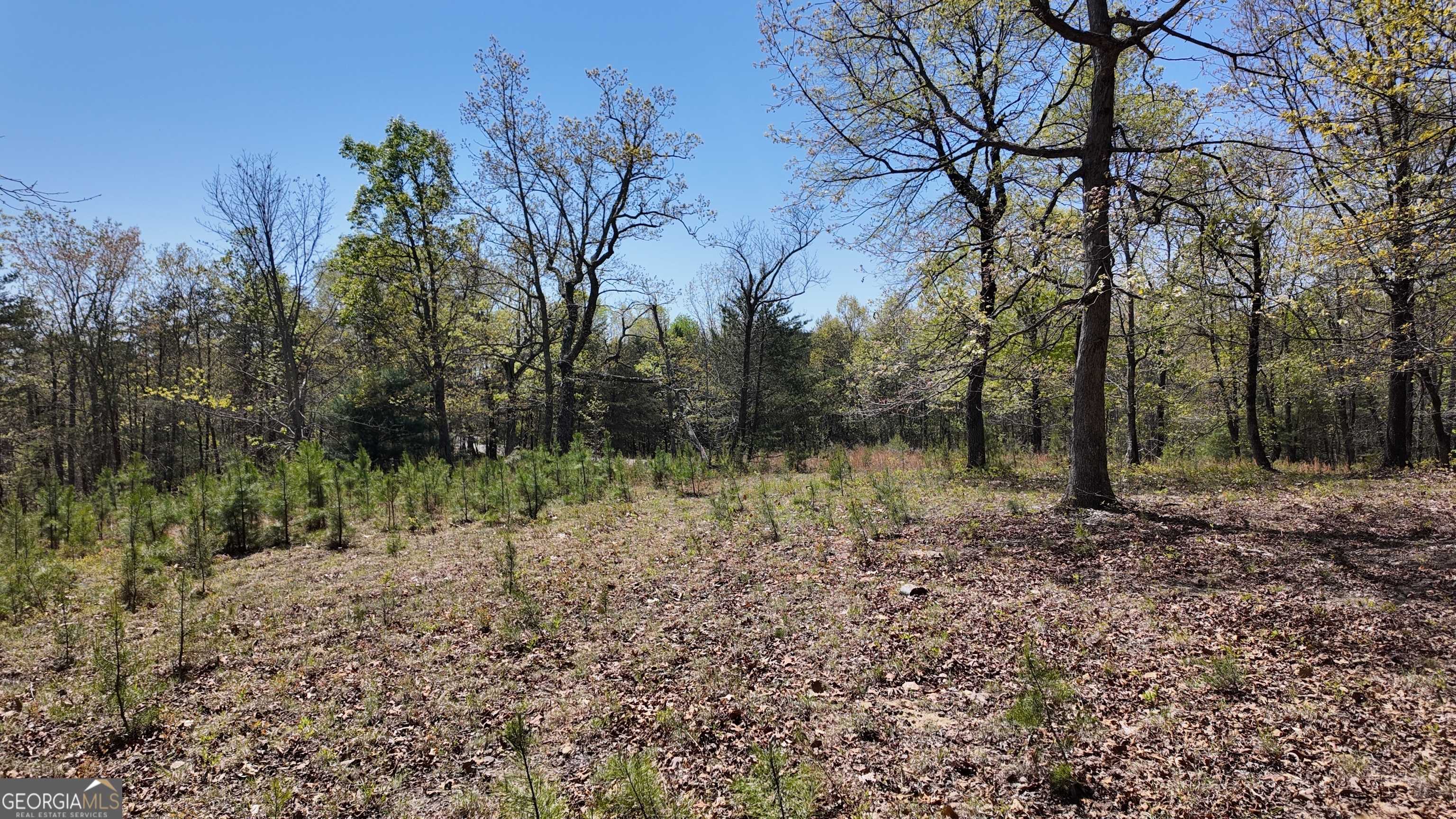 Clarkesville, GA 30523,LOT 20 Heyden Ridge DR