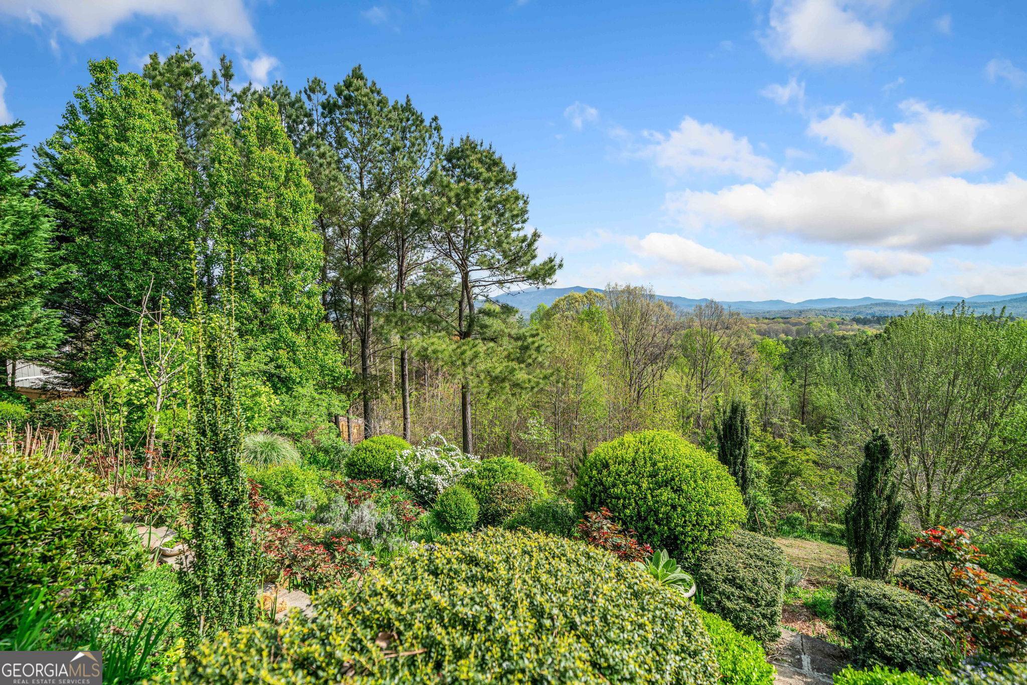 Ellijay, GA 30536,100 Fox Paw Leaf CT