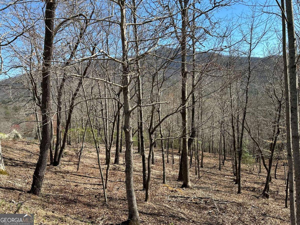 Young Harris, GA 30582,LOT 11 Asheland CV