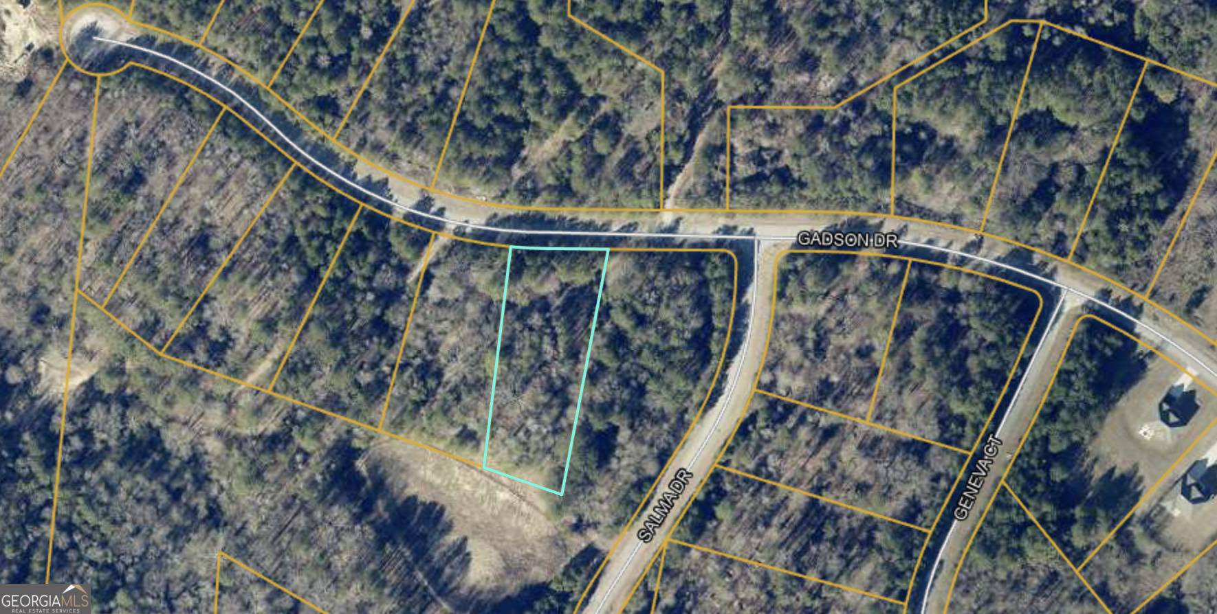Fayetteville, GA 30214,200 Gadson DR #LOT 48