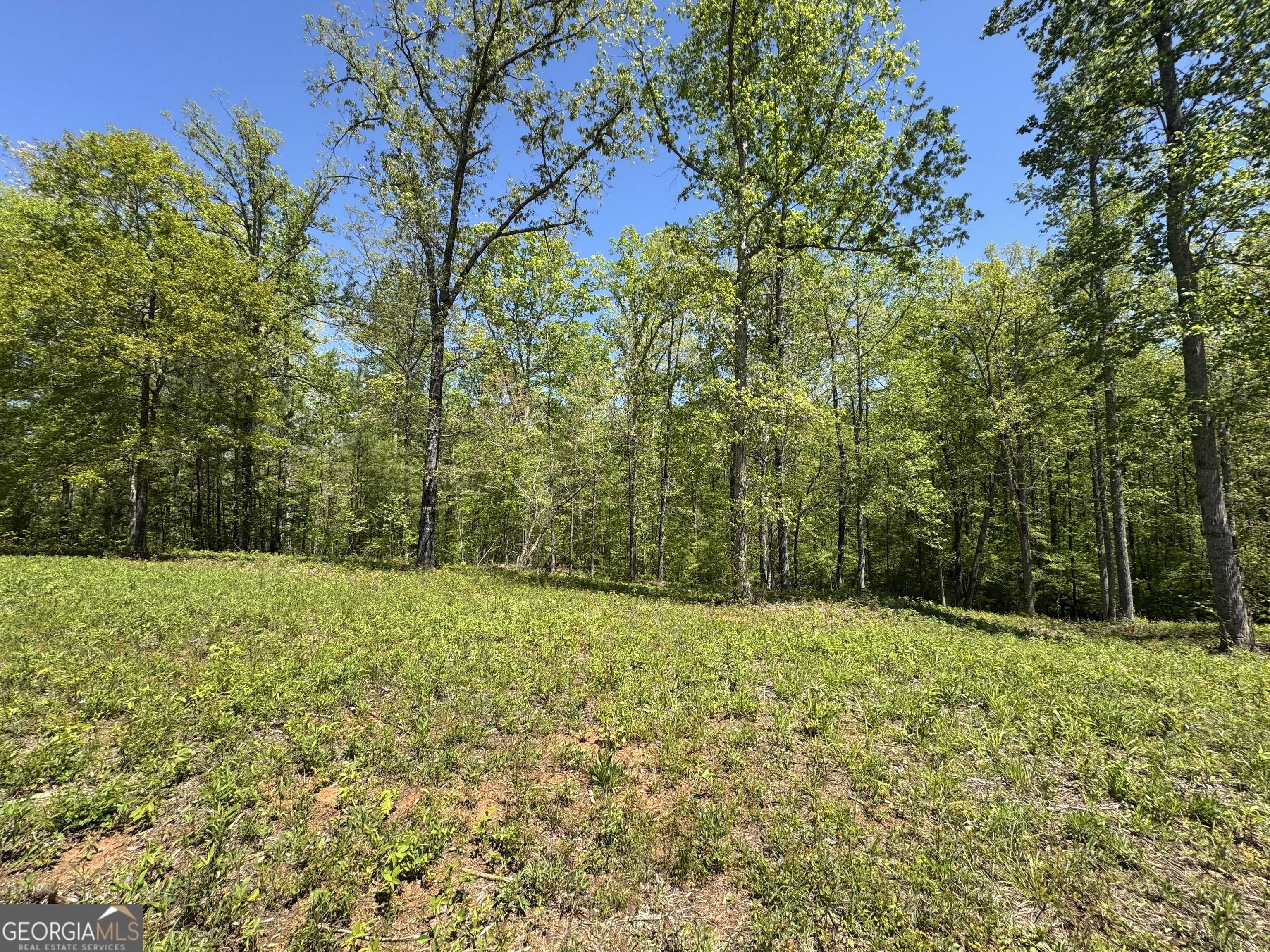 Forsyth, GA 31029,126 Laurel RDG