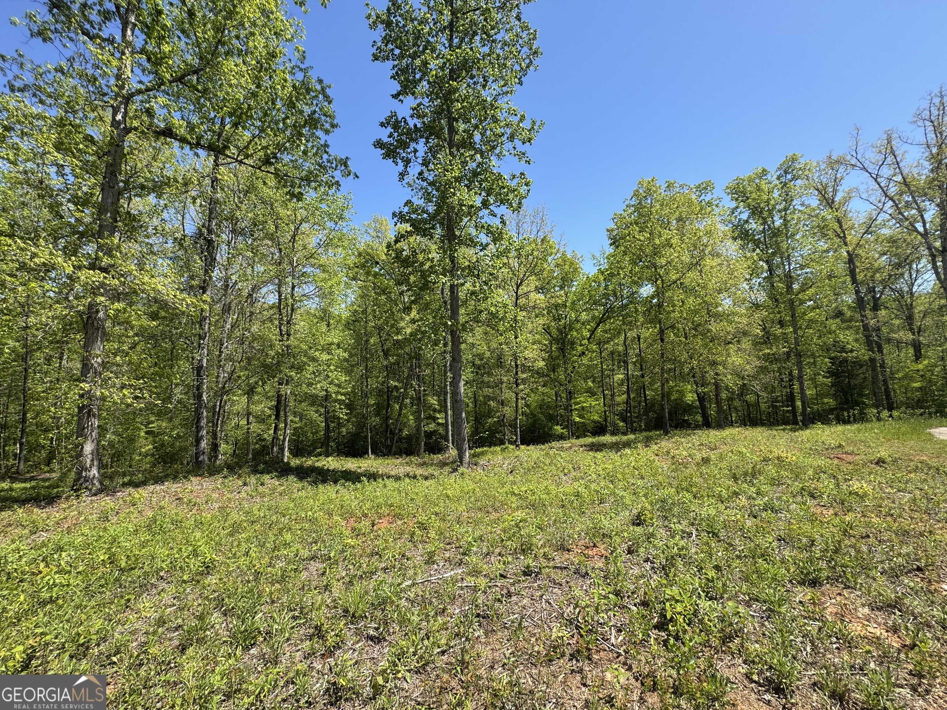 Forsyth, GA 31029,126 Laurel RDG