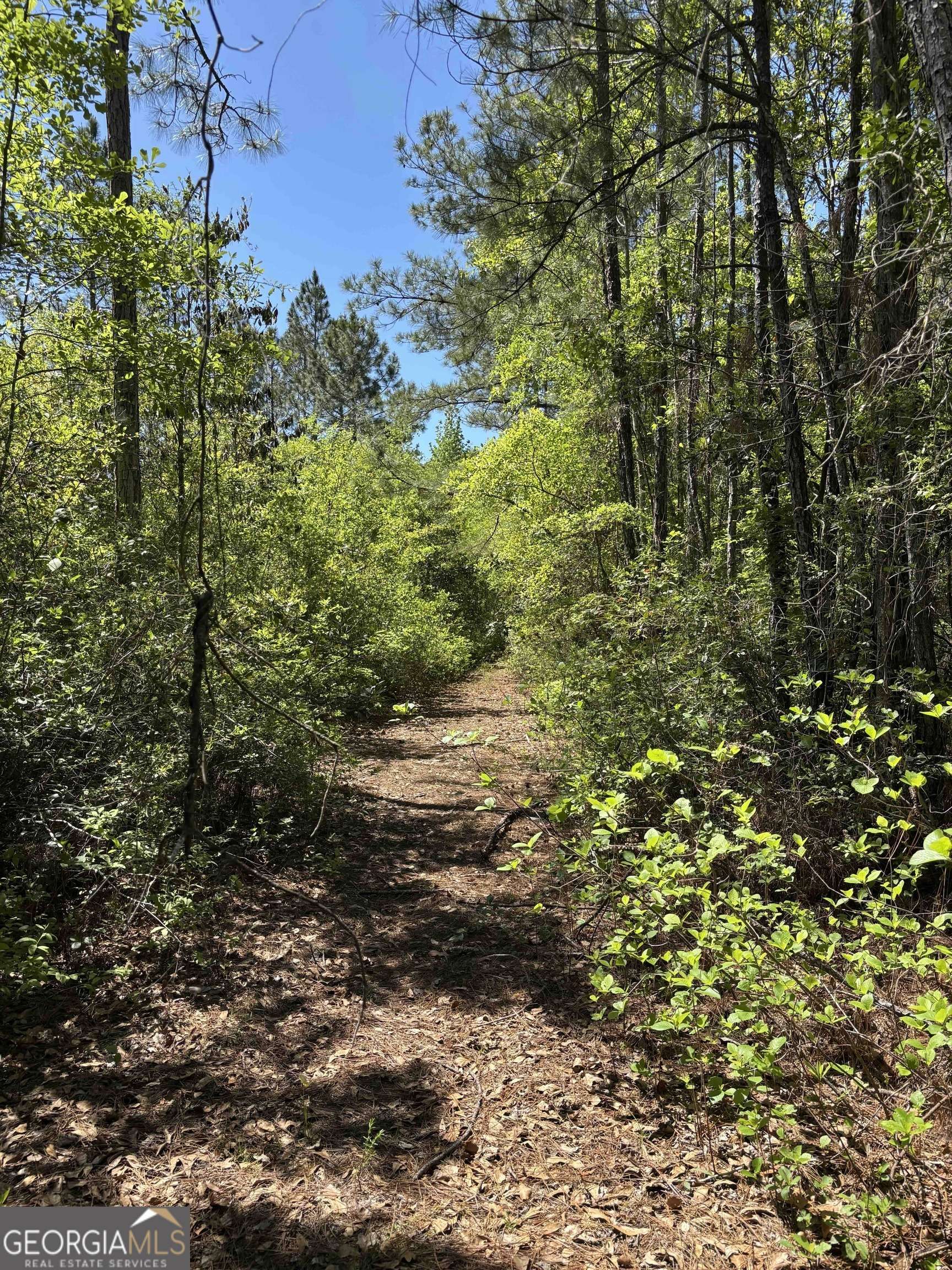 Springfield, GA 31329,0 Rincon Stillwell RD