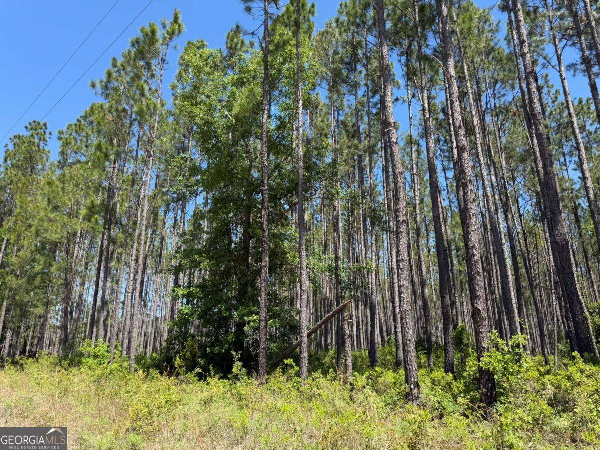 Waycross, GA 31503,8.84 Strickland RD