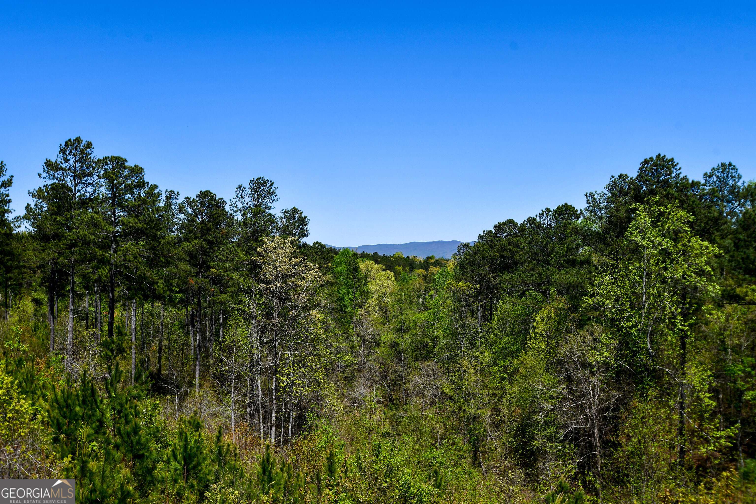 Dahlonega, GA 30533,74 Station Gap