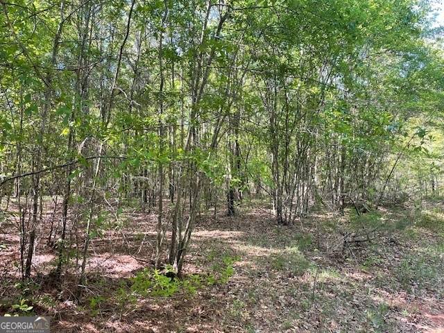 Barnesville, GA 30204,10.35 Cannafax RD
