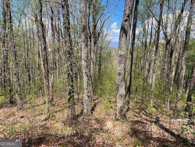 Young Harris, GA 30582,LOT 86 Rocky Knob Estate