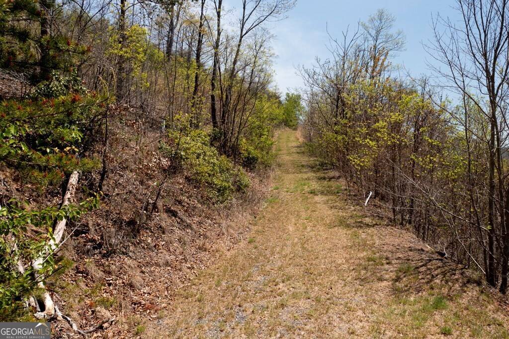 Hiawassee, GA 30546,LOT 34 Bell Meadows