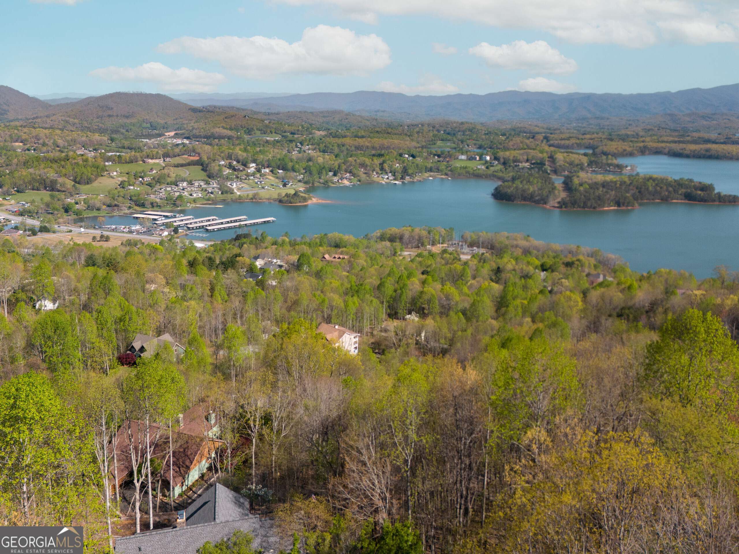Hiawassee, GA 30546,890 Locust TRL