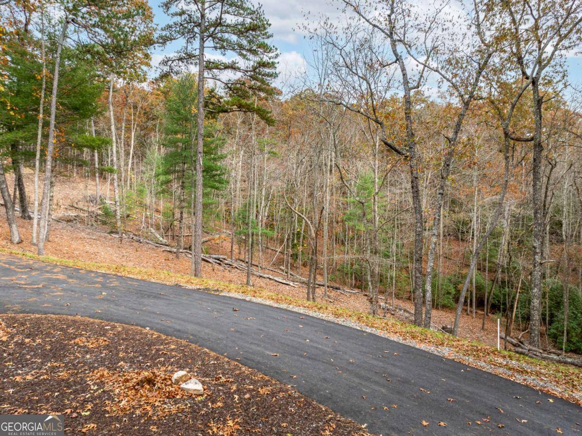Morganton, GA 30560,LOT 15 Briar Creek CT