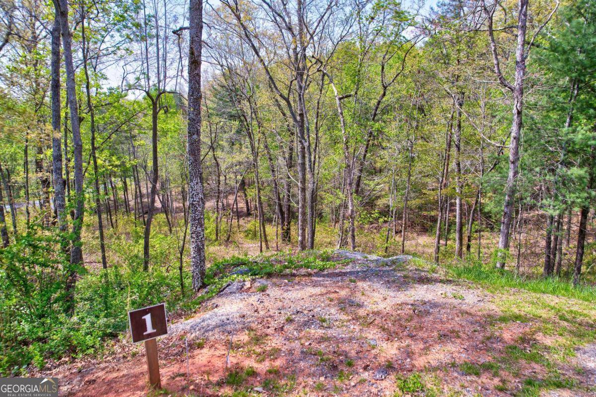 Ellijay, GA 30540,LOT #2 Jakes Landing WAY N