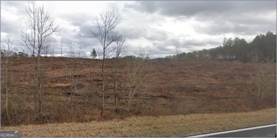 Buchanan, GA 30113,TRACT 4 Bethlehem Church Road