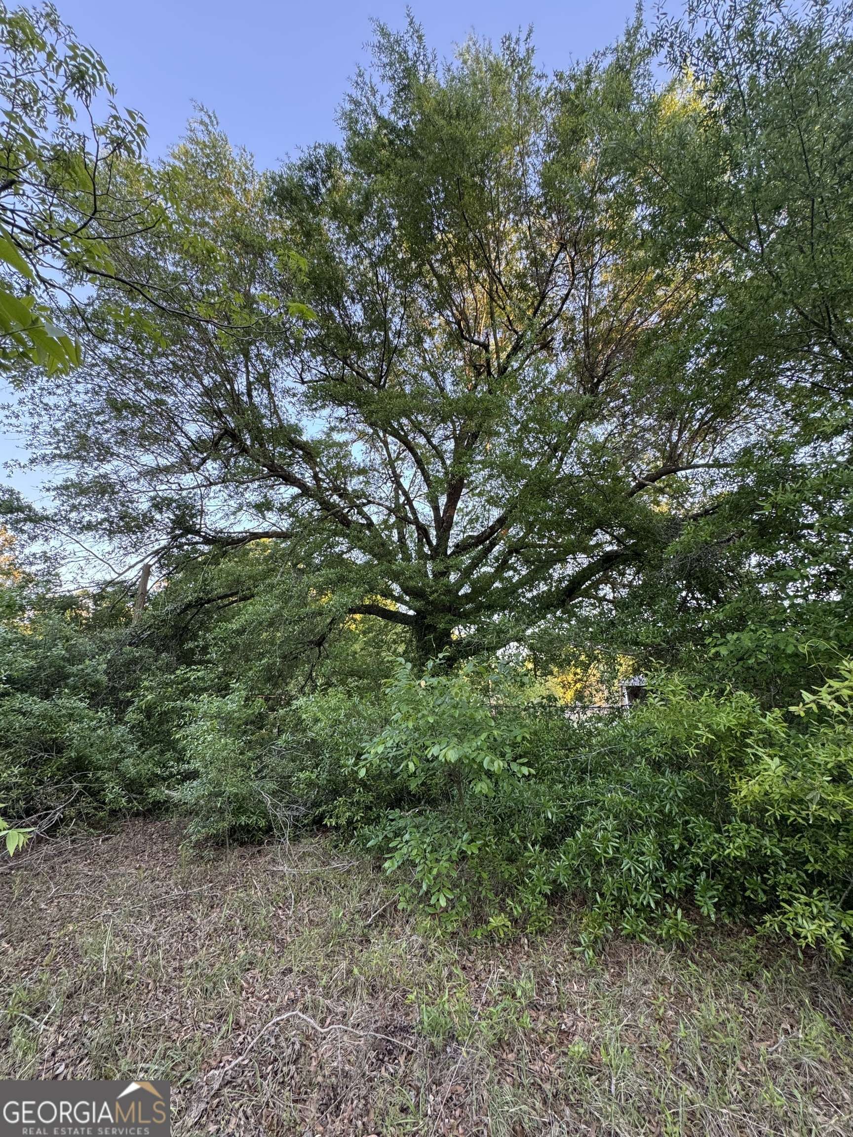 Augusta, GA 30906,1045 Horseshoe RD