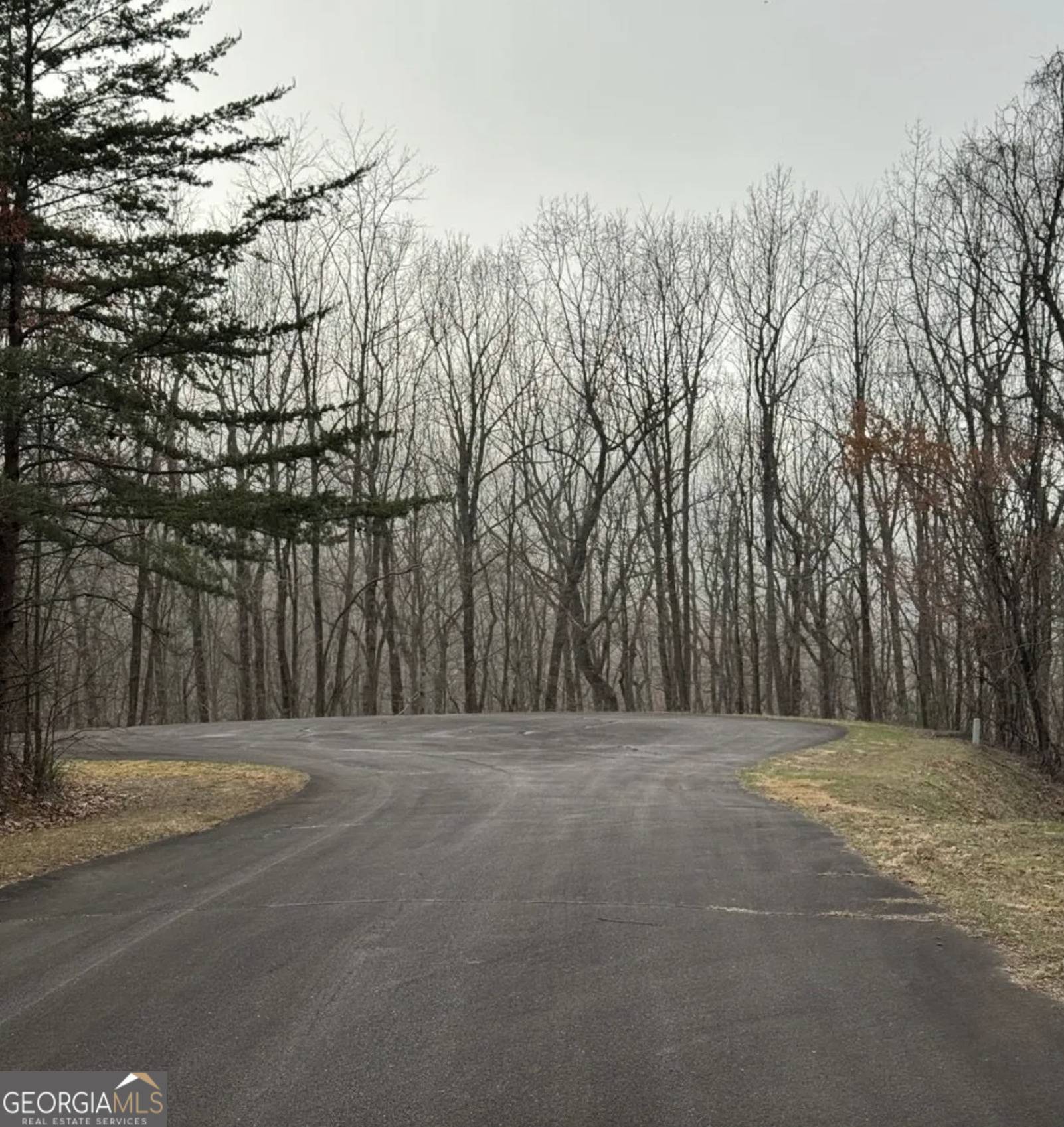 Ellijay, GA 30536,0 Baltusrol Run