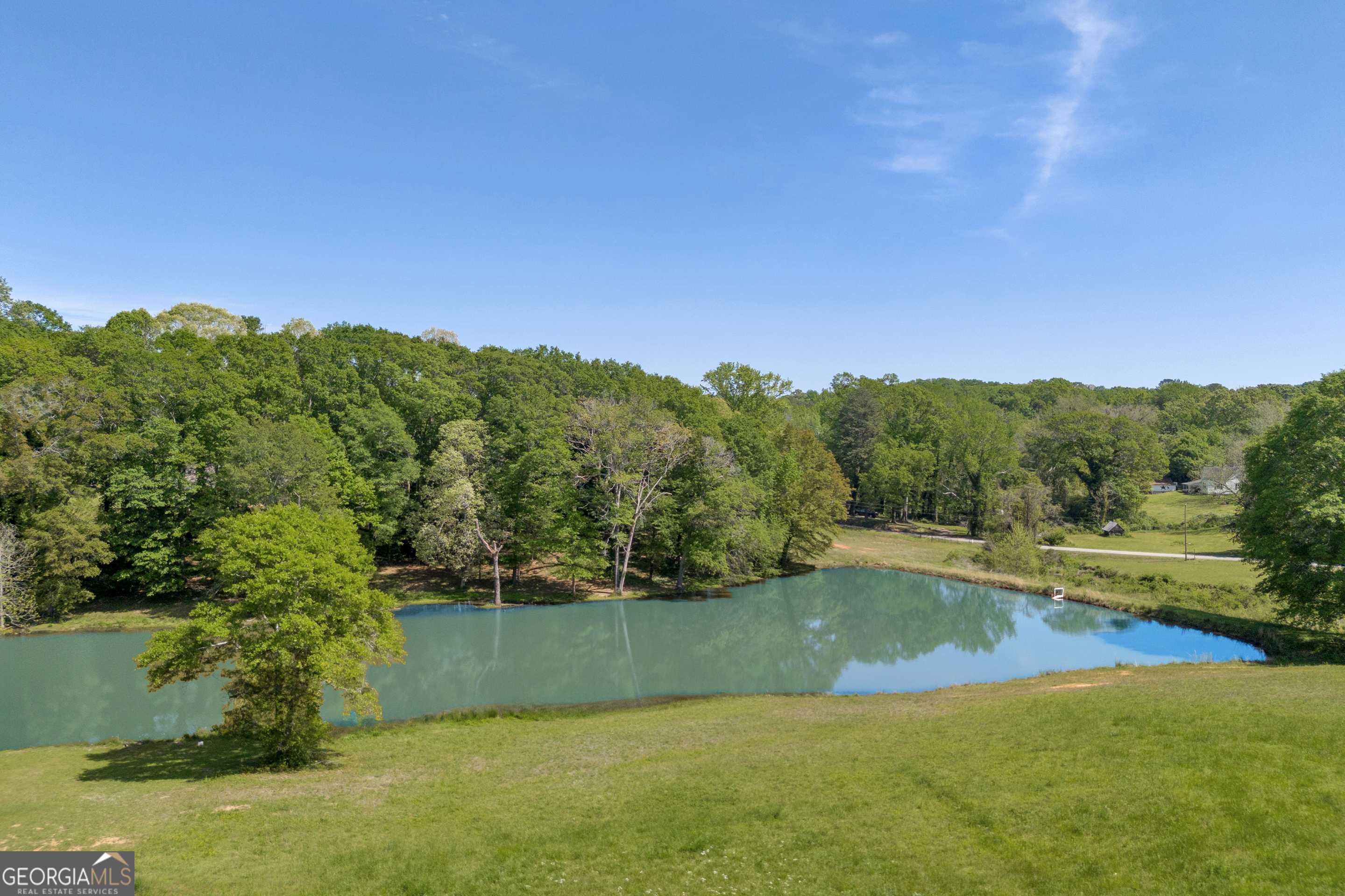 Carnesville, GA 30521,9834 Lavonia RD