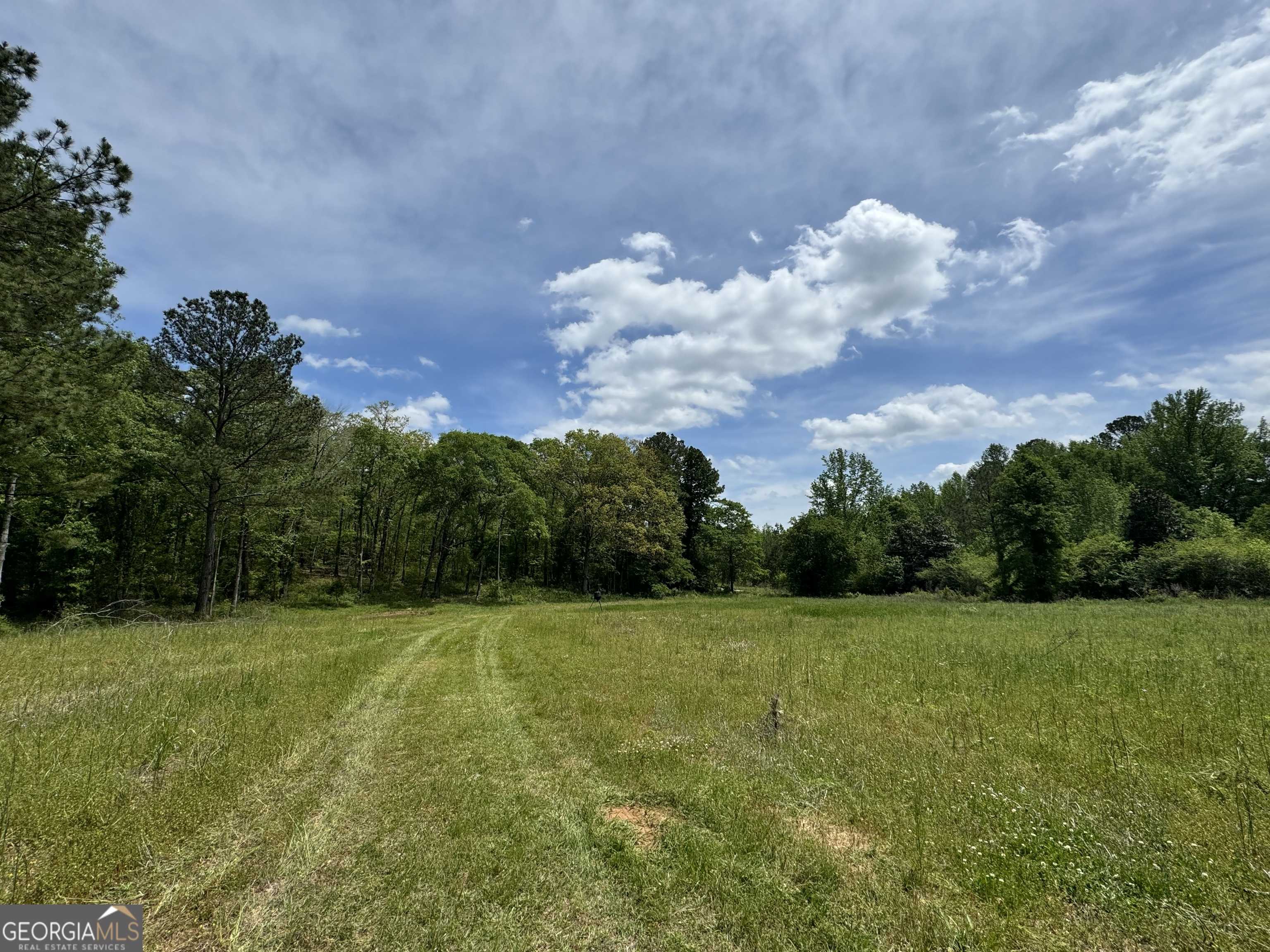 Brooks, GA 30205,2331 Hollonville RD