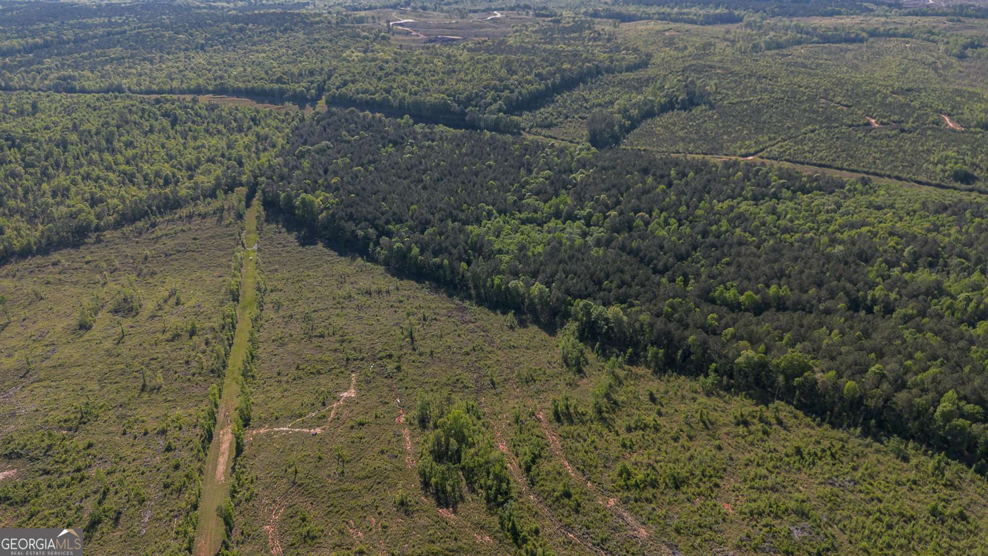 Dry Branch, GA 31020,949 Marion Ripley RD