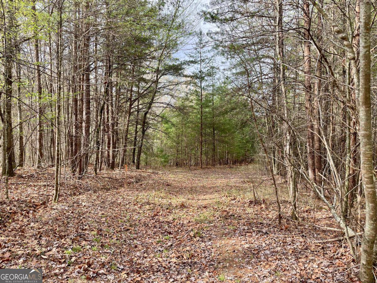 Dahlonega, GA 30533,0 Mountain Ridge DR