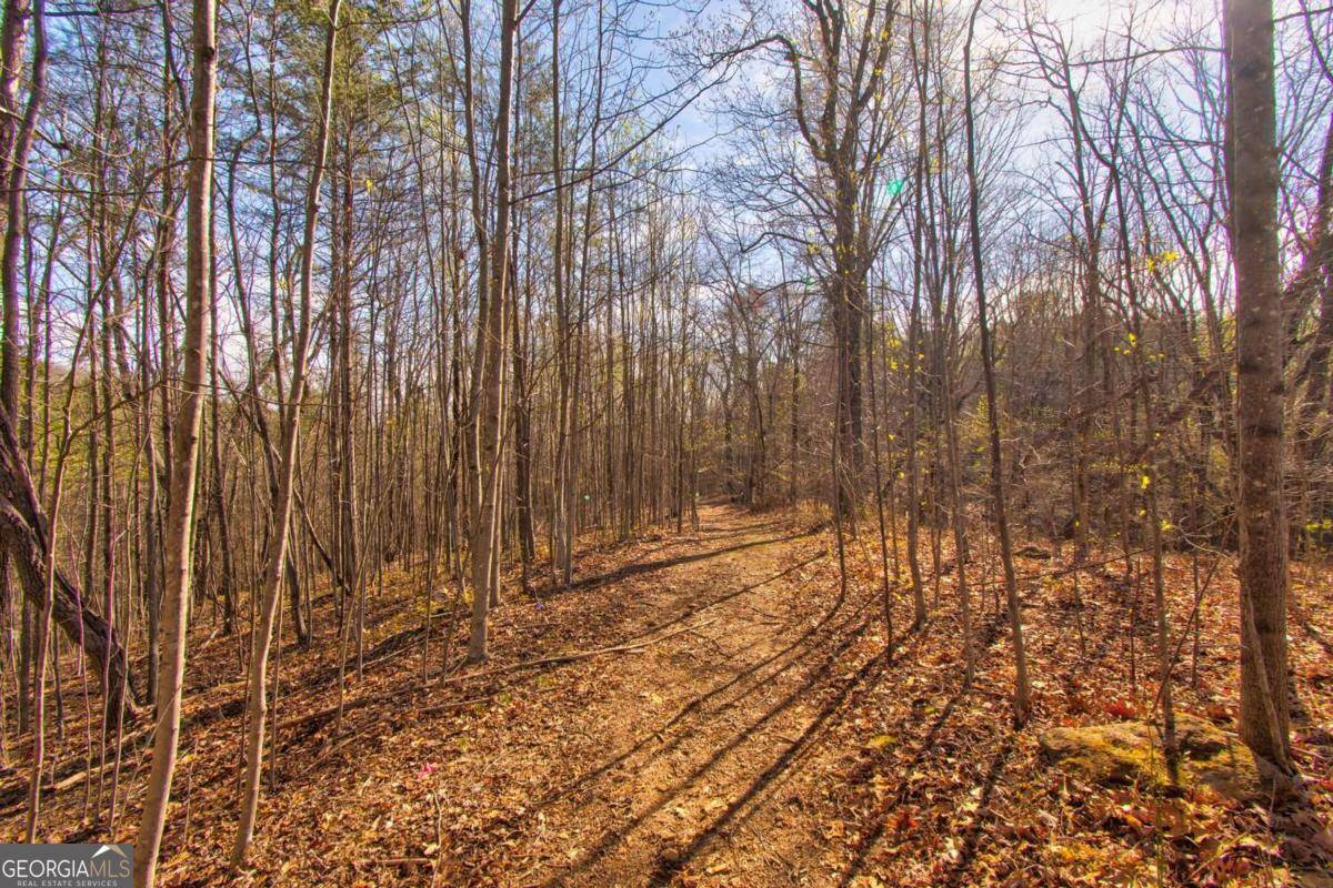 Dahlonega, GA 30533,27.68 Chapman Ridge Lane