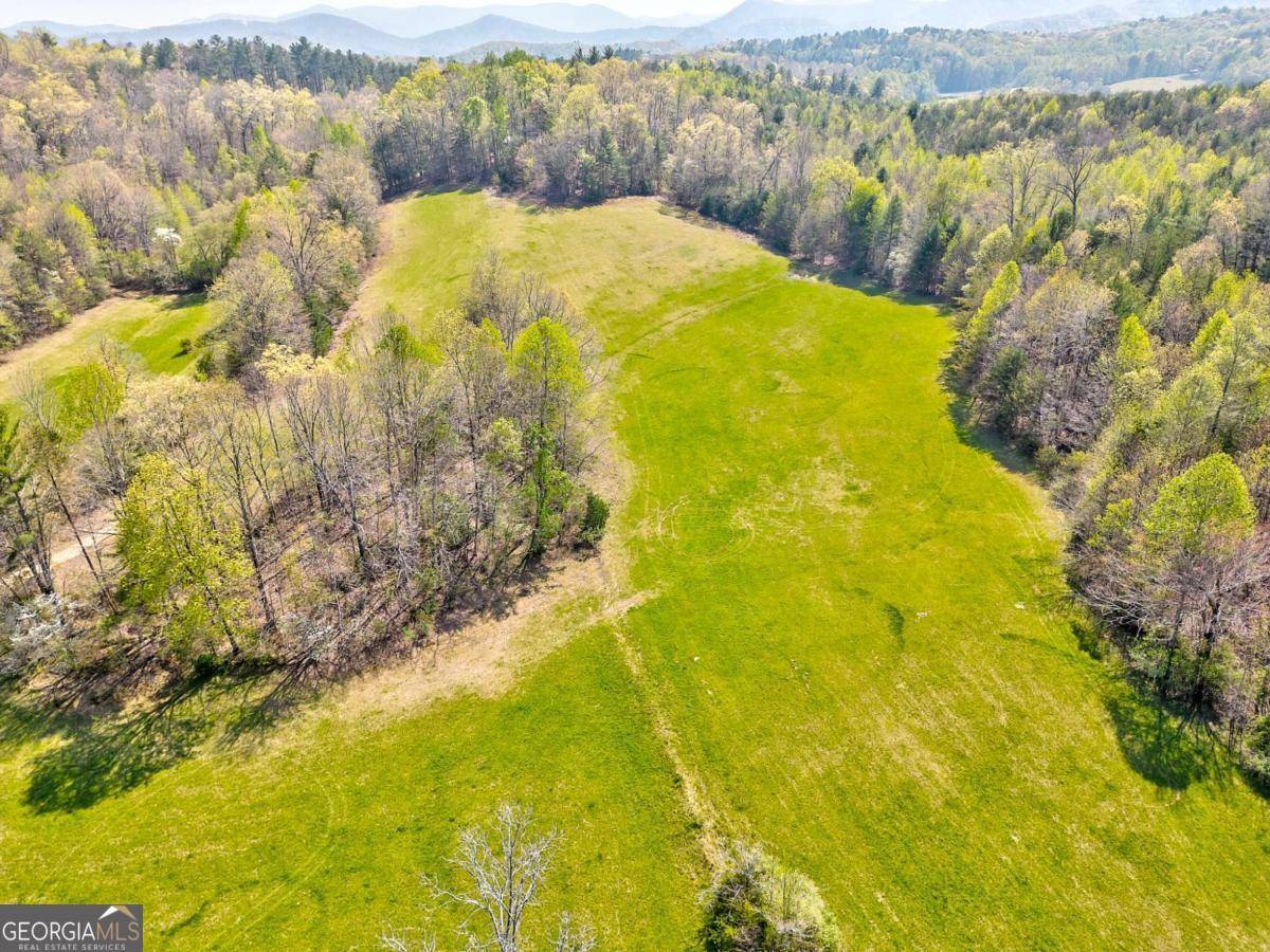 Mccaysville, GA 30555,365 Waters RD