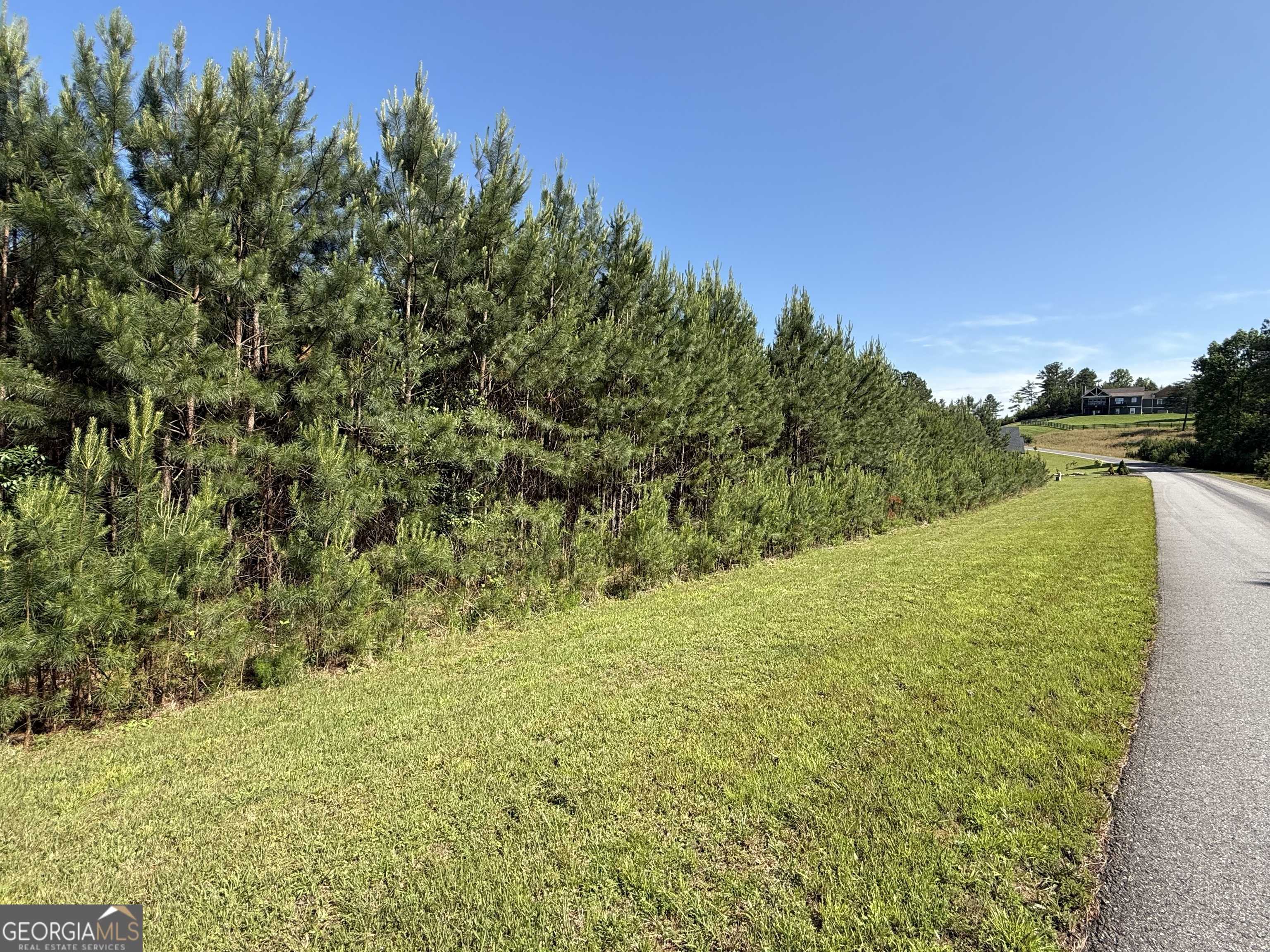 Blairsville, GA 30512,LOT 228 The Cove at Thirteen Hundred