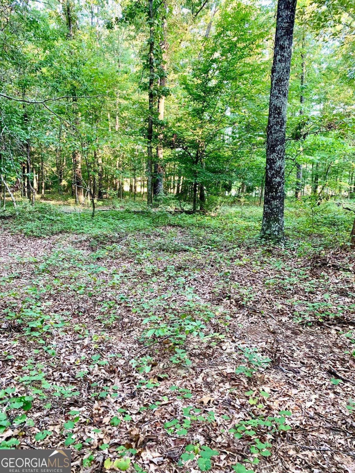 Athens, GA 30607,0 Archer Grove School RD #TRACT C