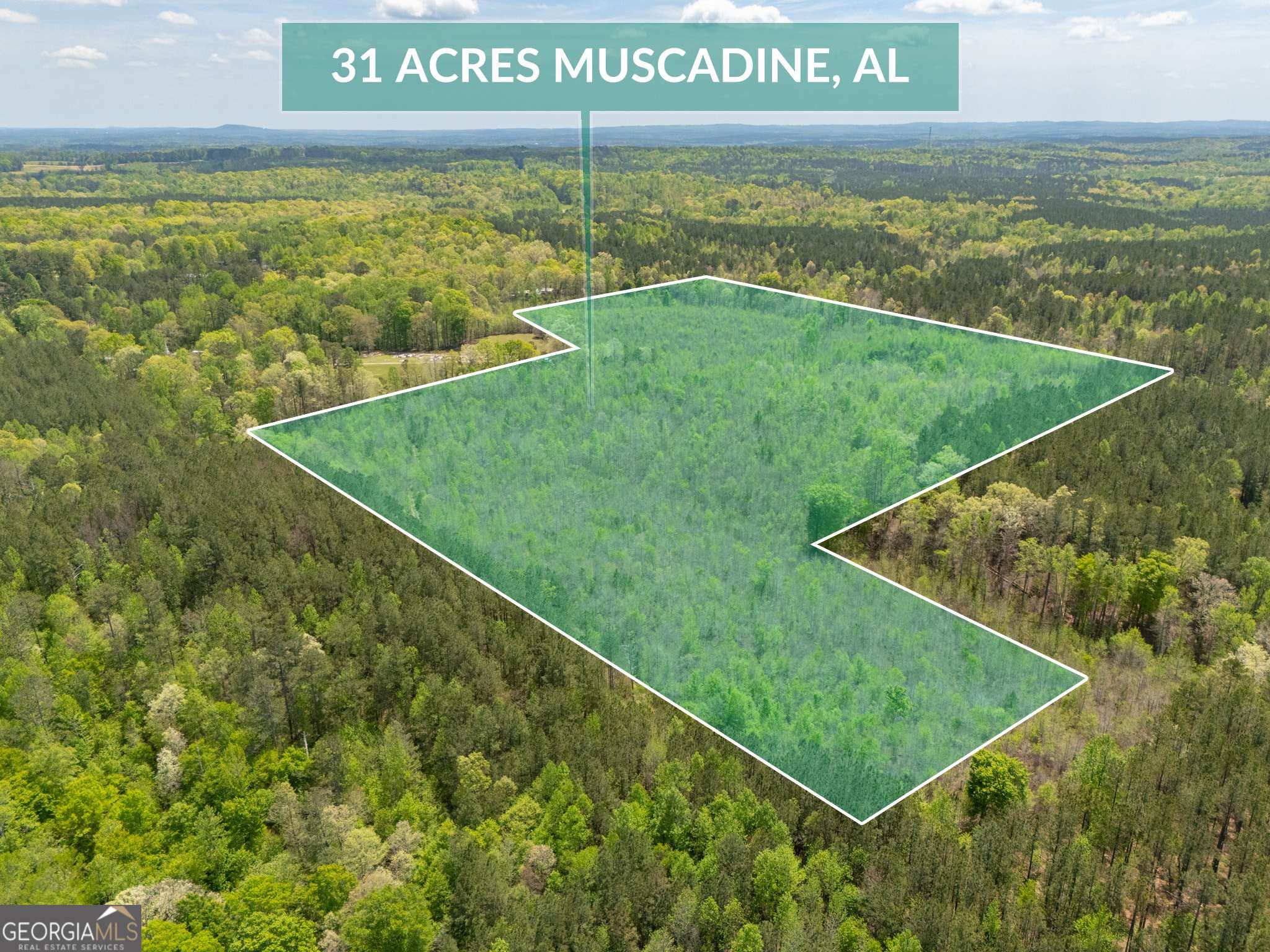 Muscadine, AL 36269,0 County Road 49
