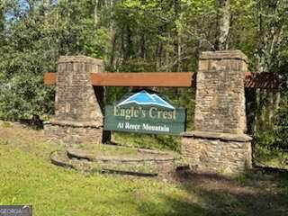 Ellijay, GA 30536,0 Eastside DR