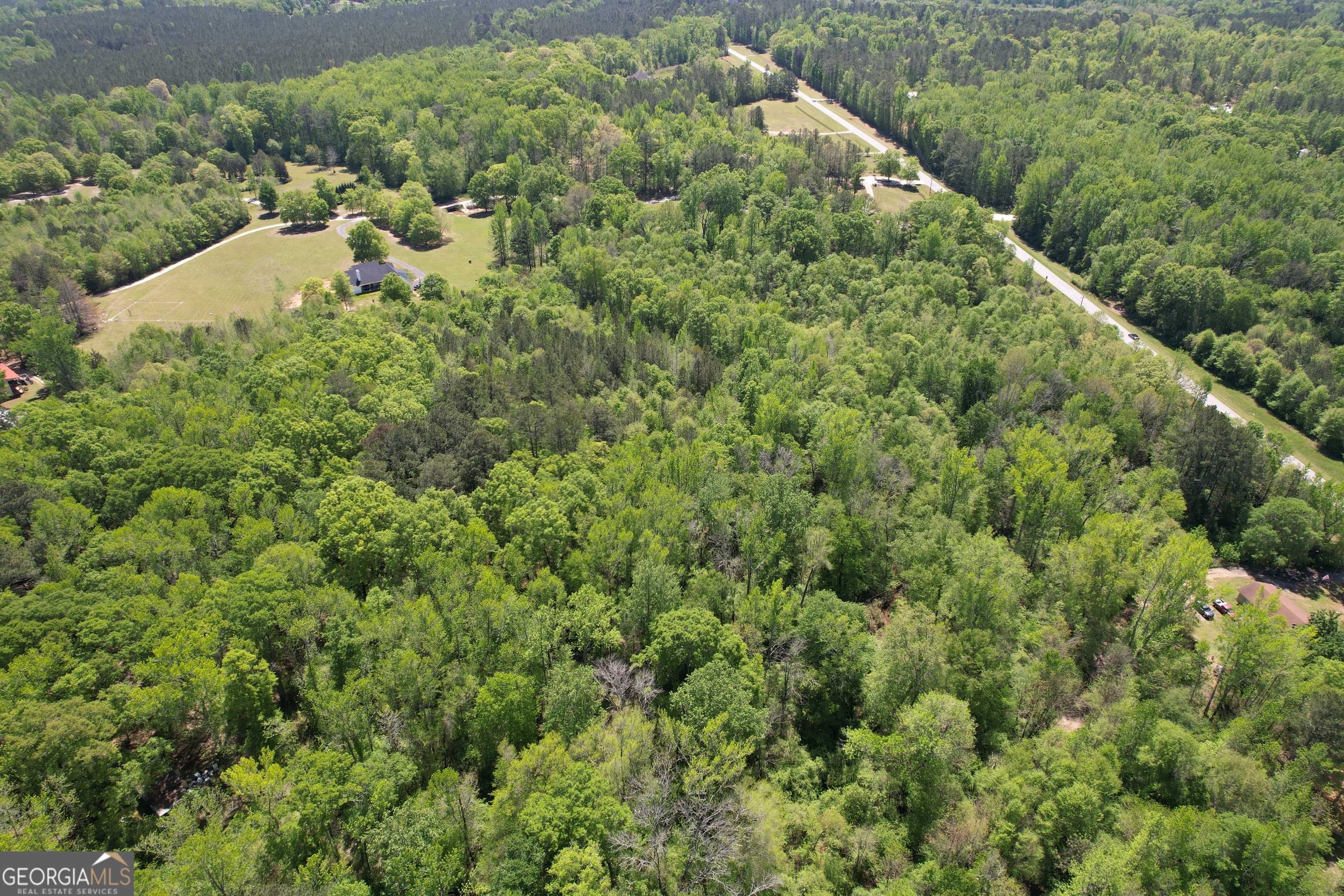 Williamson, GA 30292,2310 Hollonville