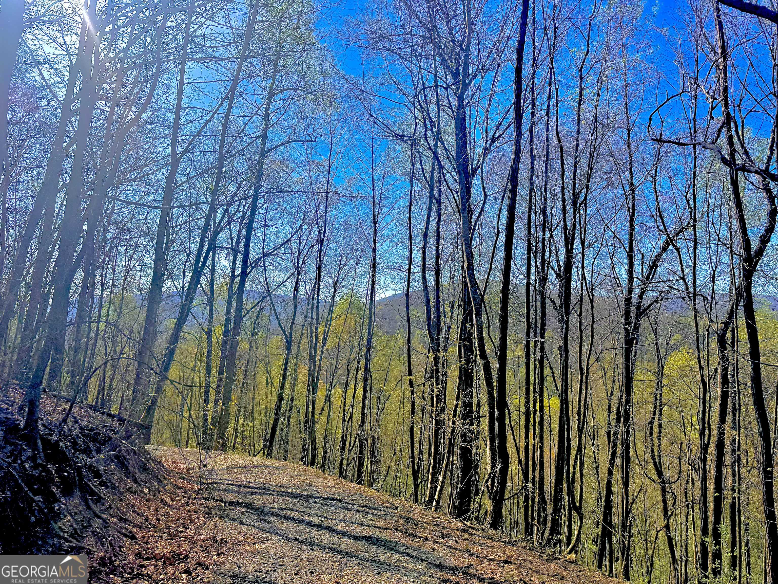 Ellijay, GA 30536,32.11 AC Hidden Valley Drive